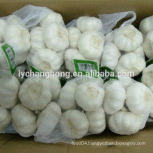 Garlic price of 2014 in China